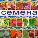 Сибирский садовод-Семена овощных культур №10