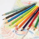 Цветные карандаши Brauberg 12 цветов всего за 83р.