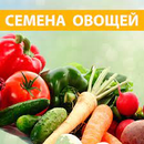 Семена овощных культур, микрозелень по доступным ценам - 3