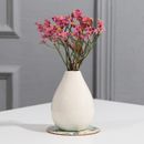Горшочки и вазы для цветов и растений
