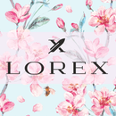 Красивая и удобная канцелярия Lorex 10. Быстрая доставка