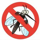 Стоп комарики - остановим комаров. Репелленты на растительной основе