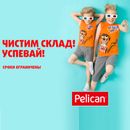 Pelican: Одежда для мальчиков