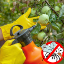 Ваш дом и сад под защитой-11! Средства от грызунов и насекомых-вредителей.